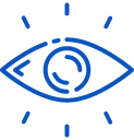Vision Icon